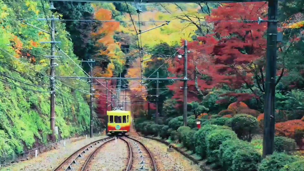 1.攝像組人氣獎(jiǎng)《從北海道到東京》 作者：Effie小主.jpg