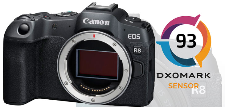 canon-r8-image-file.jpg